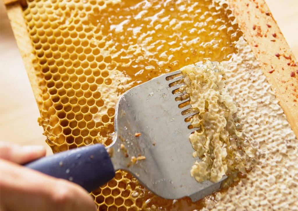 Забрус пчелиный: что это такое, лечебные свойства, как принимать