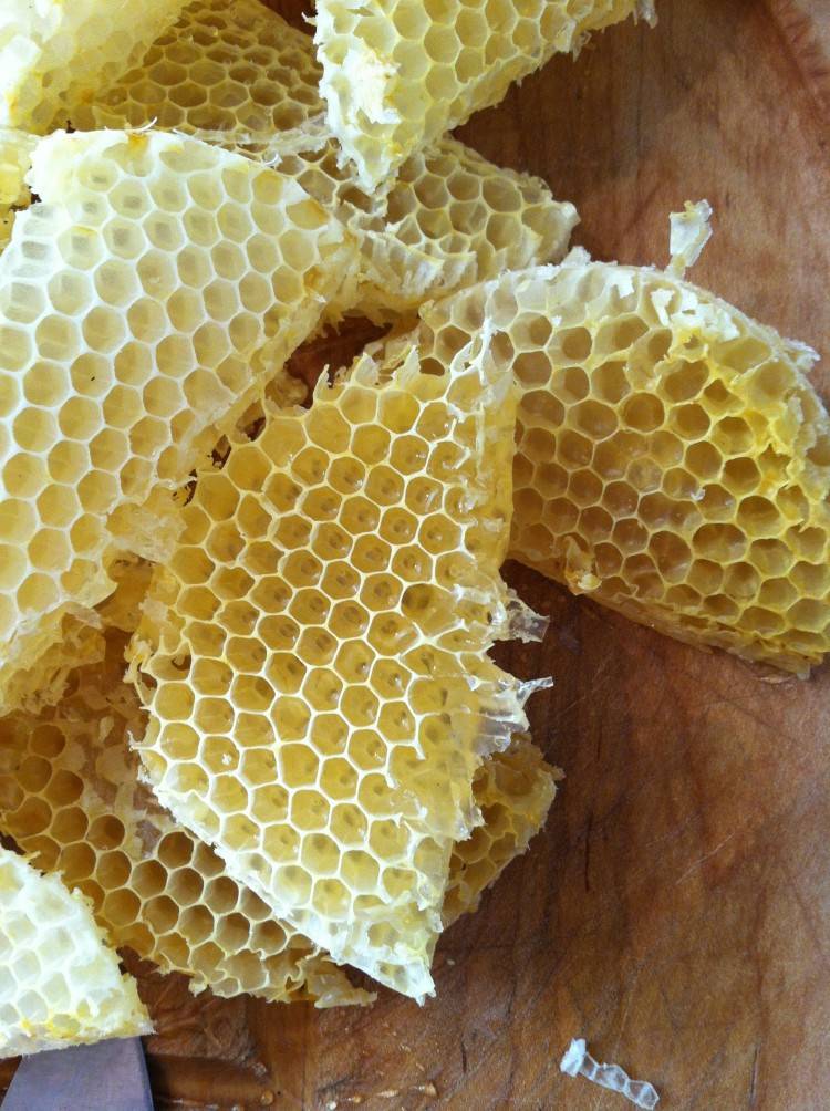 Пчелиный воск - 105 фото и видео производства. полезные свойства и рецепты с использованием воска