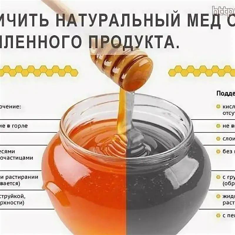 Из чего состоит мед: химический состав меда и физические свойства