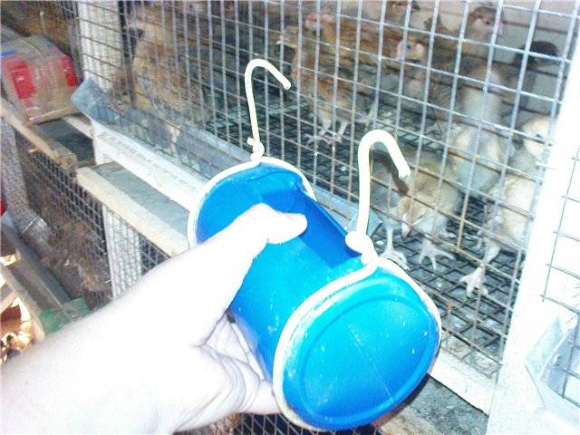 Поилка для кроликов своими руками: как сделать зимние кормушки и ниппельные или автоматические поилки с подогревом из бутылки