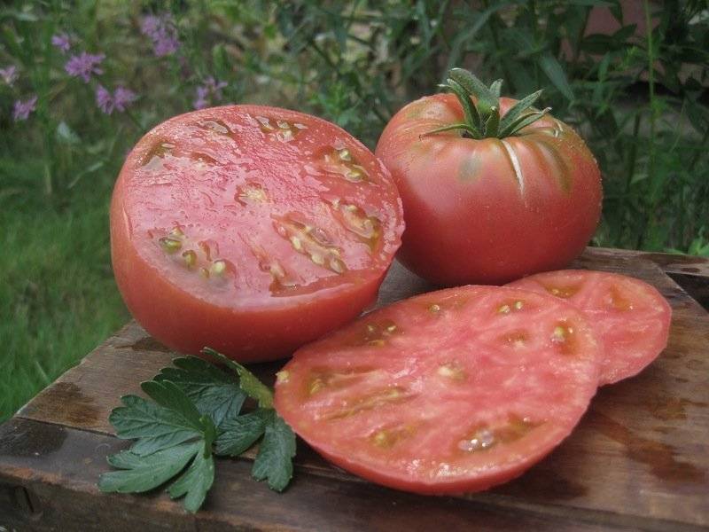 Томат микадо розовый: отзывы, фото помидоров, описание, выращивание, видео