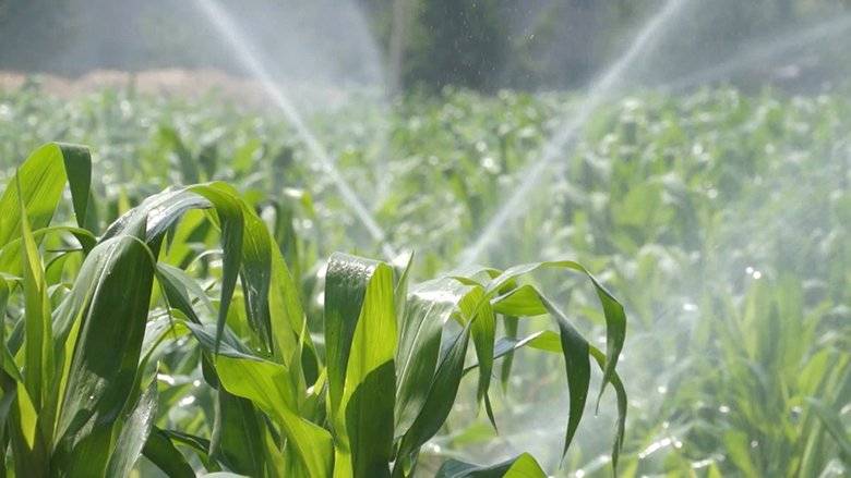 Водные ресурсы в агропромышленности | fermers.ru