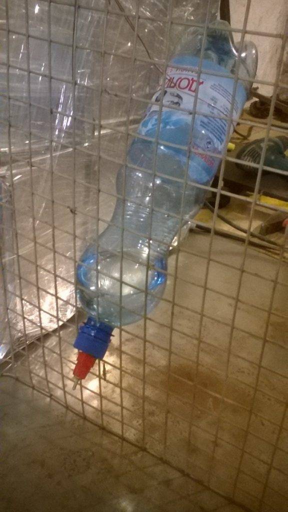 Поилка для кроликов своими руками: как сделать зимние кормушки и ниппельные или автоматические поилки с подогревом из бутылки