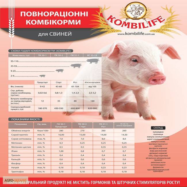 Комбикорм для свиней и поросят: виды, состав, расход, сколько съедают в день, за 6 месяцев, до убоя, как сделать своими руками