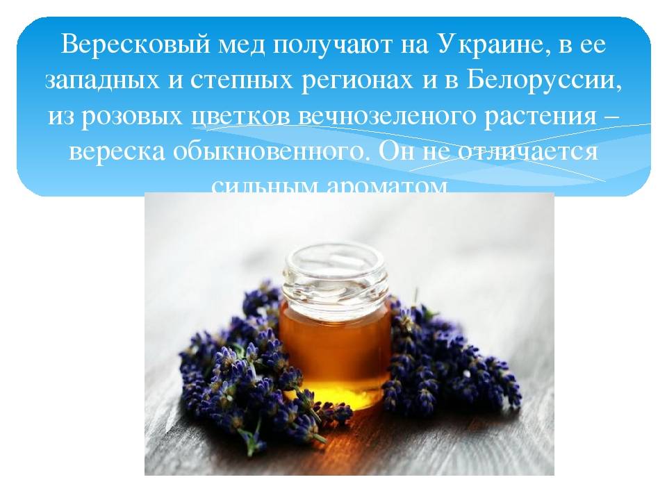 Лопуховый мёд: описание. полезные свойства. рецепты. применение