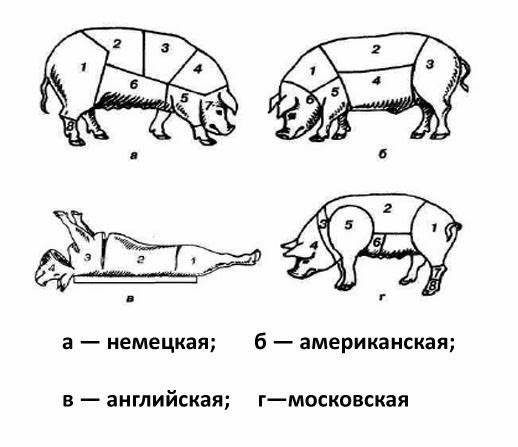 Разделка свиной туши и описание частей разделки свиной туши. обсуждение на liveinternet