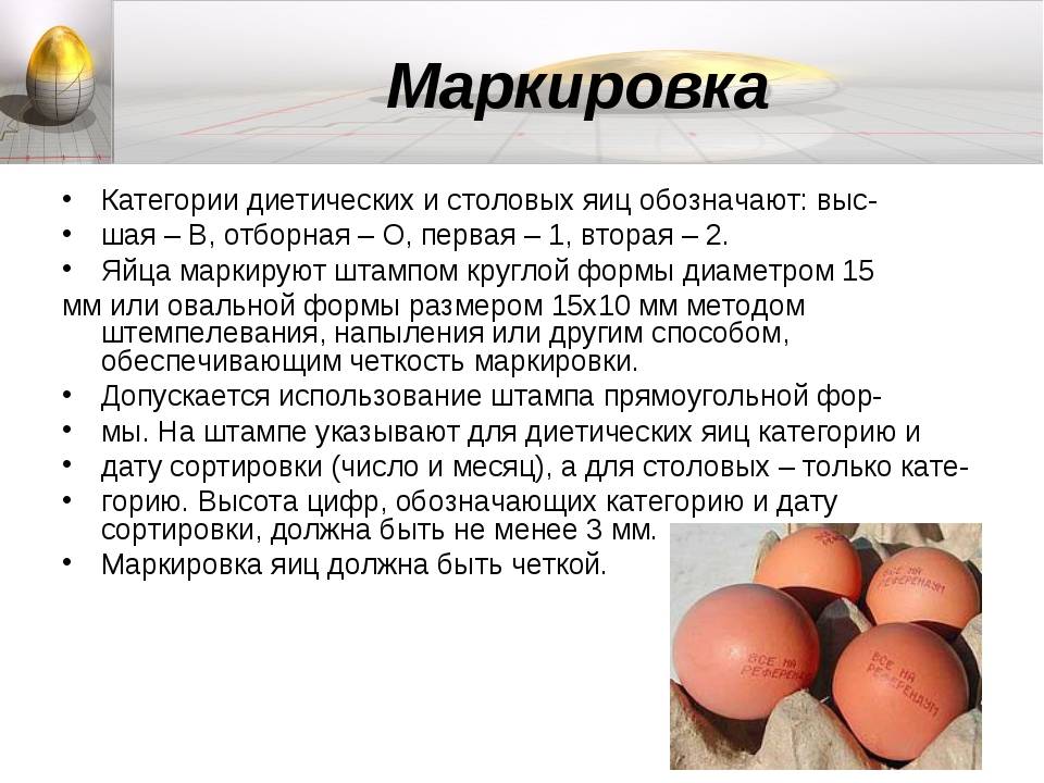 Интересные опыты «свойства яйца» как научно-исследовательская деятельность для детей
