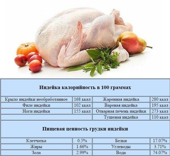 ᐉ мясо гуся: полезные свойства, противопоказания, как выбрать тушку - zooon.ru