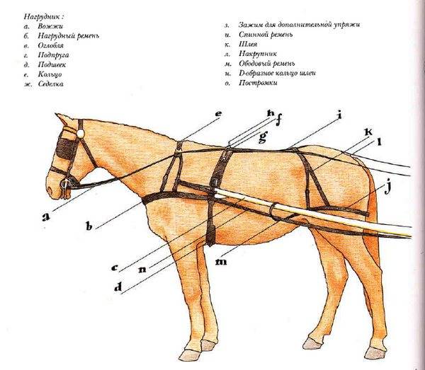 Как запрячь лошадь в телегу