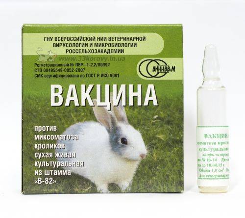 Вакцина раббивак в: инструкция по применению для кроликов, как разводить на 10 доз