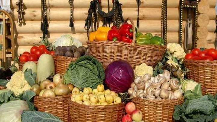 Как правильно собрать и сохранить урожай овощей — ботаничка.ru