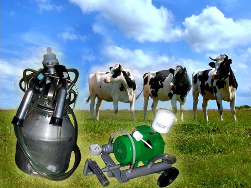 Доильные аппараты для коров: описание, виды, принцип работы