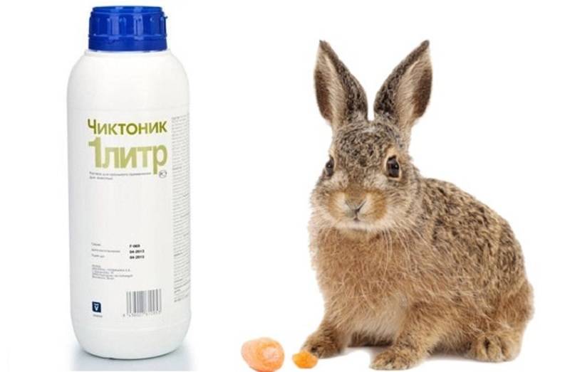 Витамины для кроликов: их особенности, приминение, дозировка и описание
