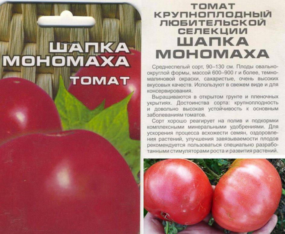 Сорт томата Шапка Мономаха: описание и советы по выращиванию