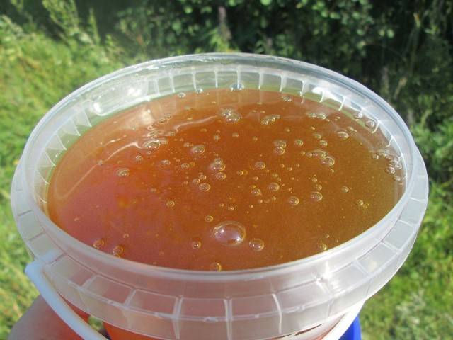 Липовый мед: полезные свойства и противопоказания | мёд | пчеловод.ком