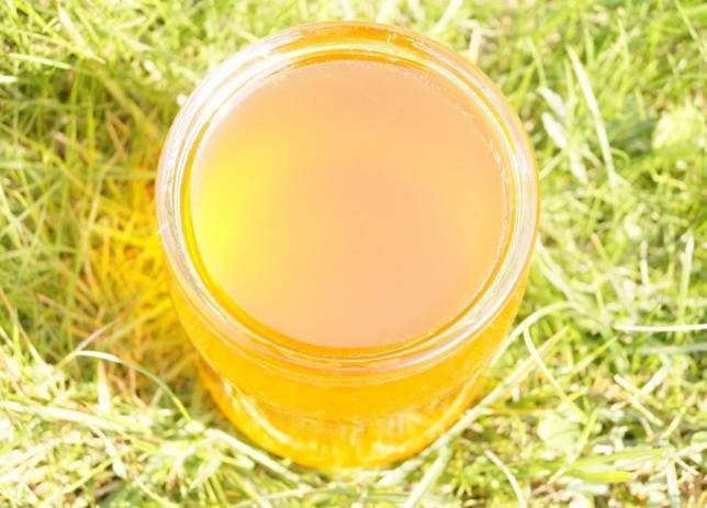Подсолнечный мёд: польза и вред для здоровья