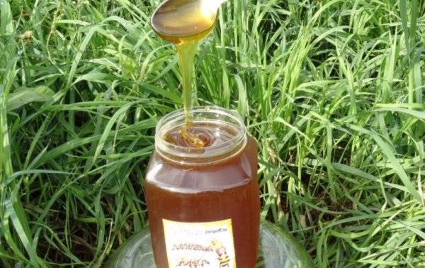Как отличить поддельный каштановый мед от оригинала