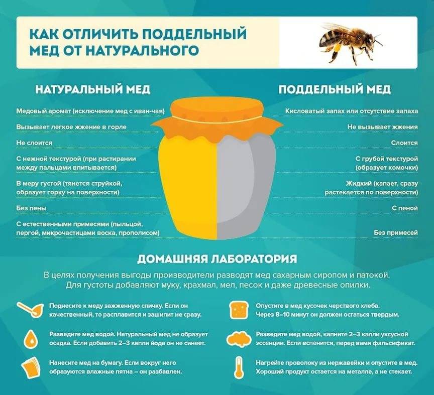 Как растопить мед без потери полезных свойств