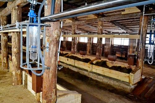 Бизнес план открытия молочной фермы на 10, 20, 50 и 100 голов крс, оборудование, расчет рентабельности мини цеха по производству и переработке мяса