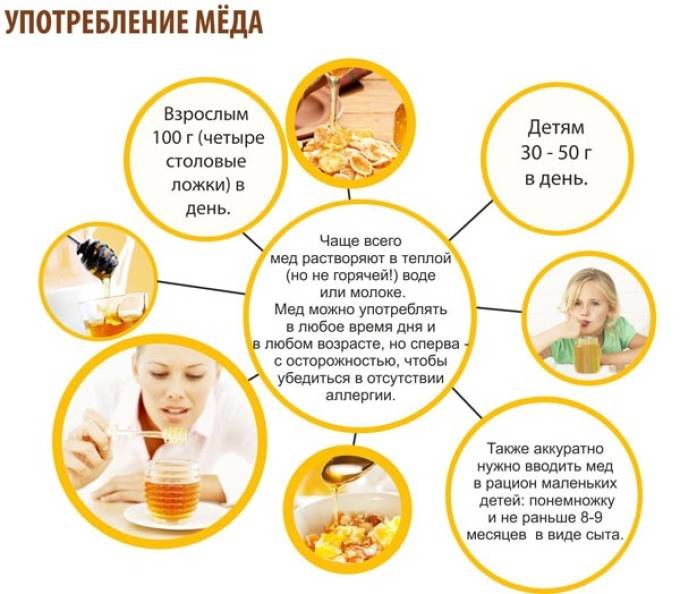Мед при похудении | официальный сайт – “славянская клиника похудения и правильного питания”