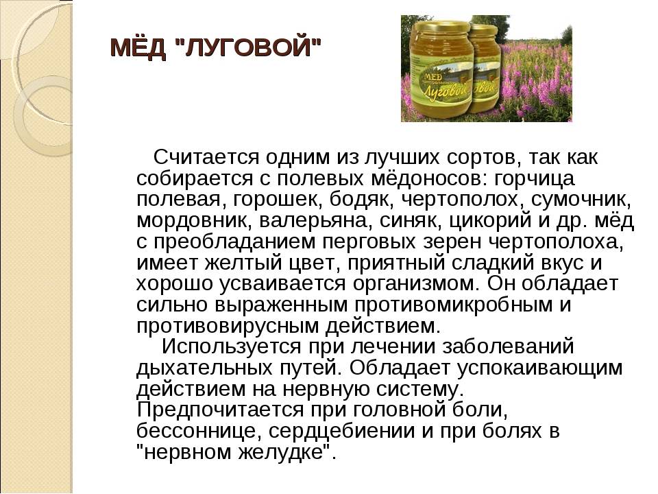 Мед разнотравье: полезные свойства и противопоказания