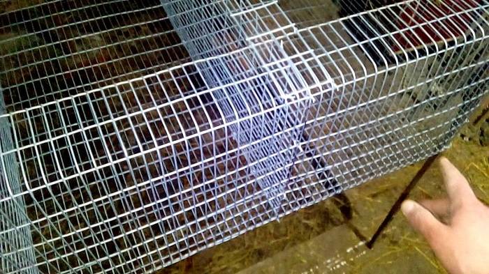 Клетки для кроликов из сетки своими руками: чертёжи, размеры, фото, пошаговая инструкция