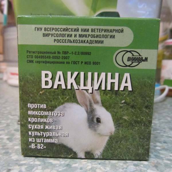 Какие витамины и в каком количестве можно давать кроликам