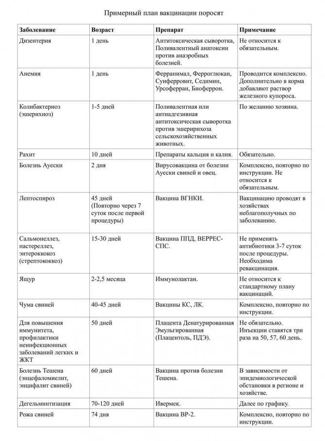 Вакцинация (прививки) кроликам в ветклиниках россии