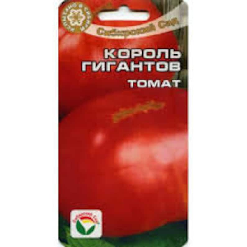 Помидор король королей — сорт томатов, который приятно удивит