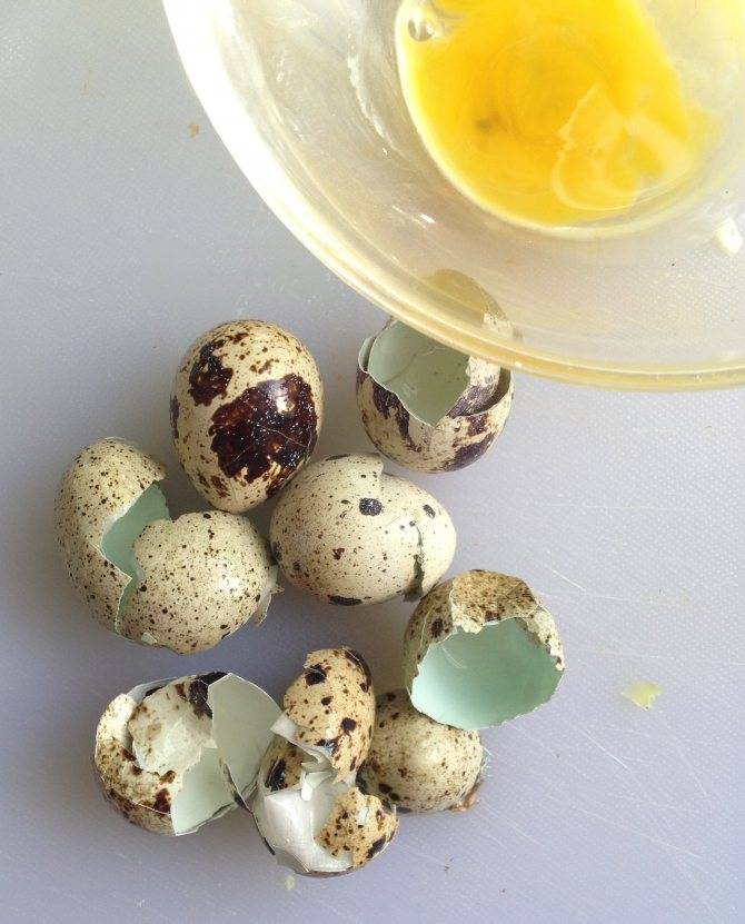 Польза и вред перепелиных яиц для женщин