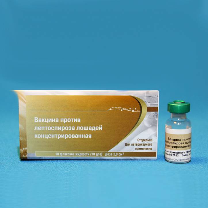 Вакцина против лептоспироза: инструкция по применению, дозировки