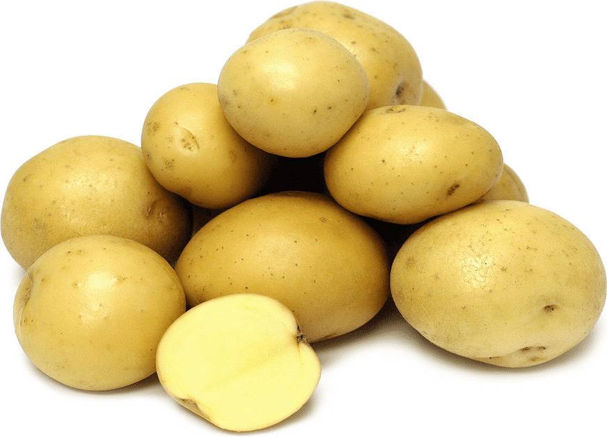 Картофель «гала»: описание сорта, фото, отзывы