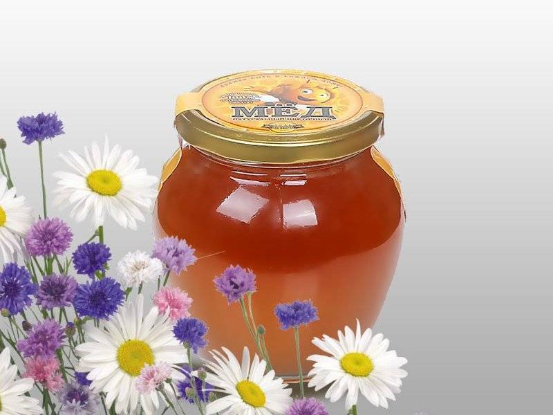 25 видов меда: полезные свойства и противопоказания +отзывы