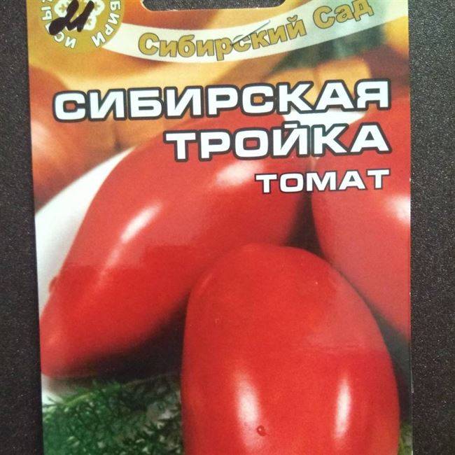 ᐉ томат "сибирская тройка": характеристика и описание сорта, урожайность, рекомендации по выращиванию, фото помидор - orensad198.ru