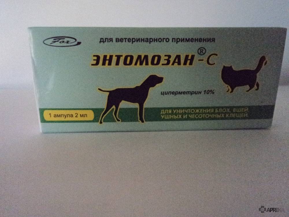 «энтомозан-с»: инструкция по применению в ветеринарии лекарственного препарата для борьбы с эктопаразитами животных