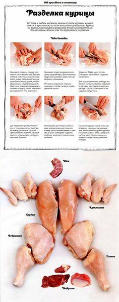 Как разделать курицу на части: как потрошить, схема разделки