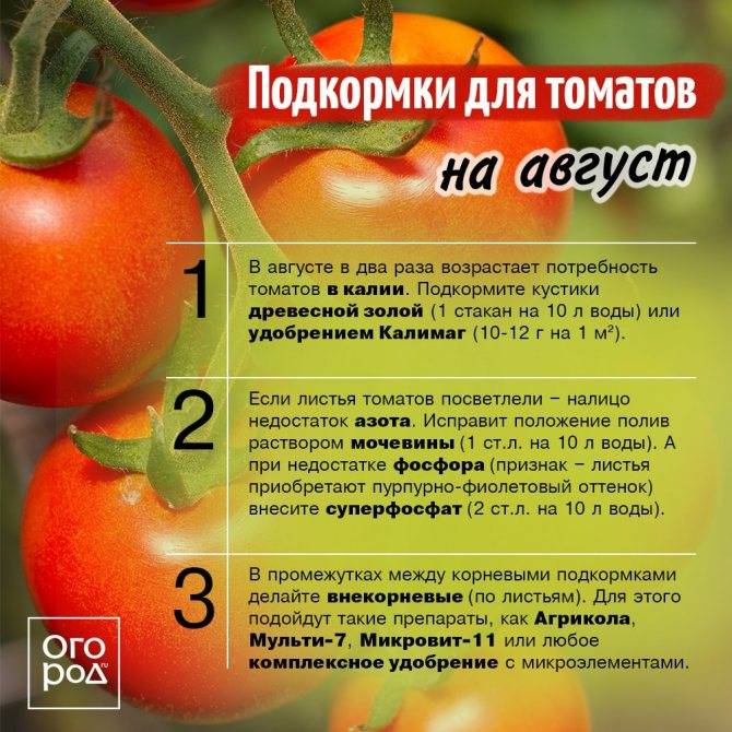 Подкормка томатов (помидоров) в теплице – какие удобрения и когда использовать