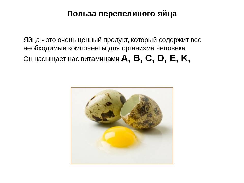 Польза и вред от употребления перепелиных яиц