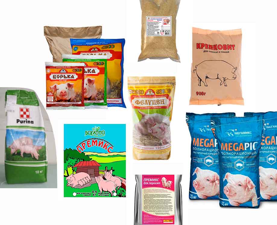 Современные системы кормления свиней – кормовые добавки и расчёт рационов — agroxxi
