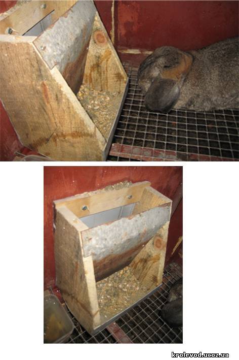 Бункерная кормушка для кроликов своими руками. схема и инструкция изготовления самодельных яслей для кормления зерном домашних декоративных грызунов