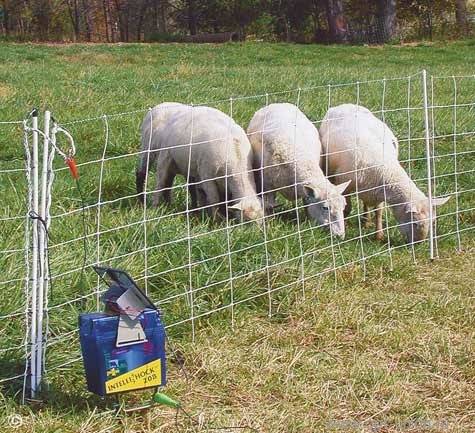 Электропастух для коров: сколько стоит электроизгородь, что такое электронный пастух для всех видов животных, как работает для крс - установка автопастуха