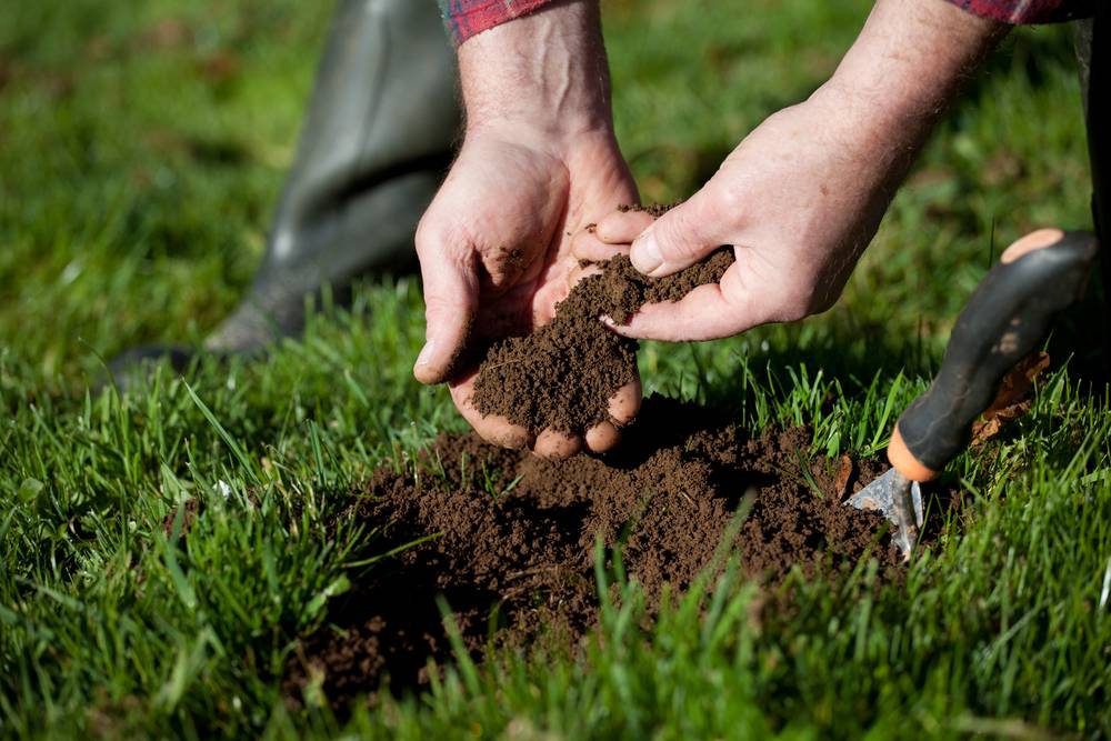 Как повысить плодородие почвы быстро и существенно. (восстановленный пост).: группа органическое земледелие
