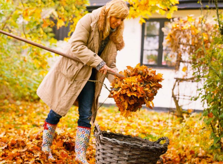 10 ошибок, которые совершают дачники каждую осень - дачно-огородные радости - медиаплатформа миртесен