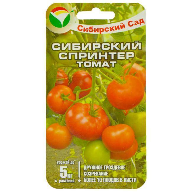 Сорта томатов: 			сибирский скороспелый