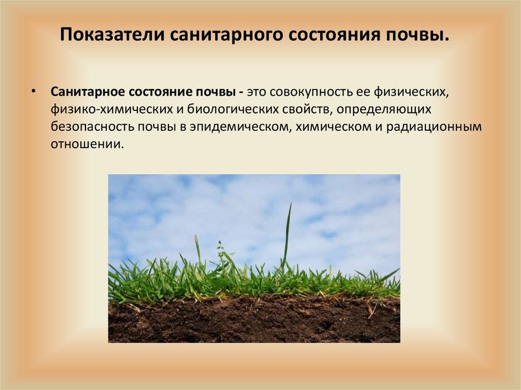 Как повысить плодородие почвы? топ-8 экологически безопасных вариантов +агротехнические методы | +отзывы