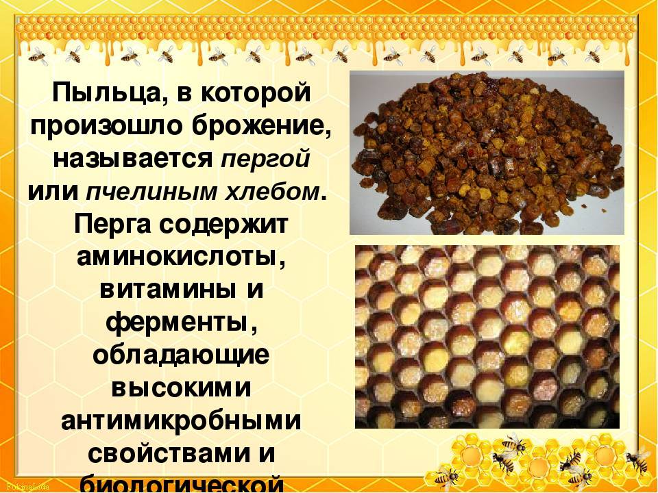 Пчелиный воск: состав, химические свойства, производство и потребление. 105 фото пчелиного воска и варианты его использования