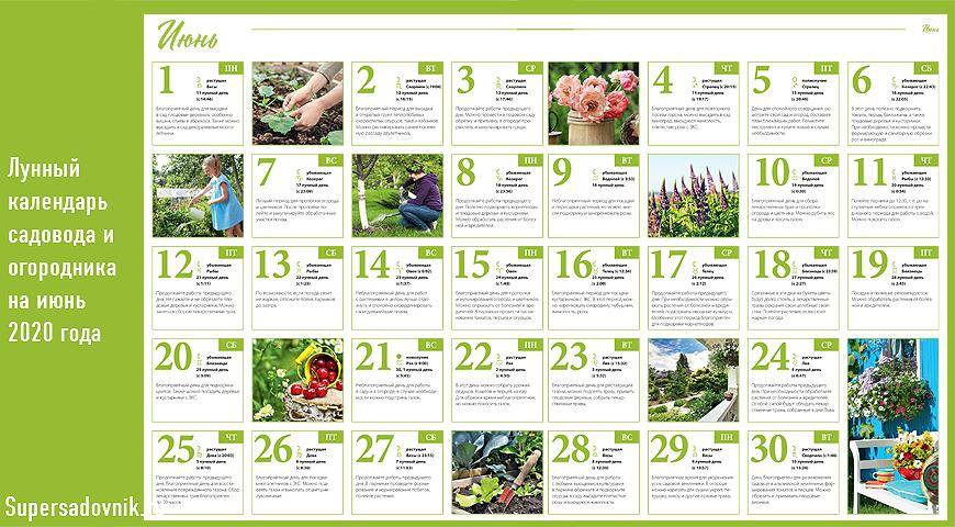Работы в саду и огороде весной: март, апрель и май