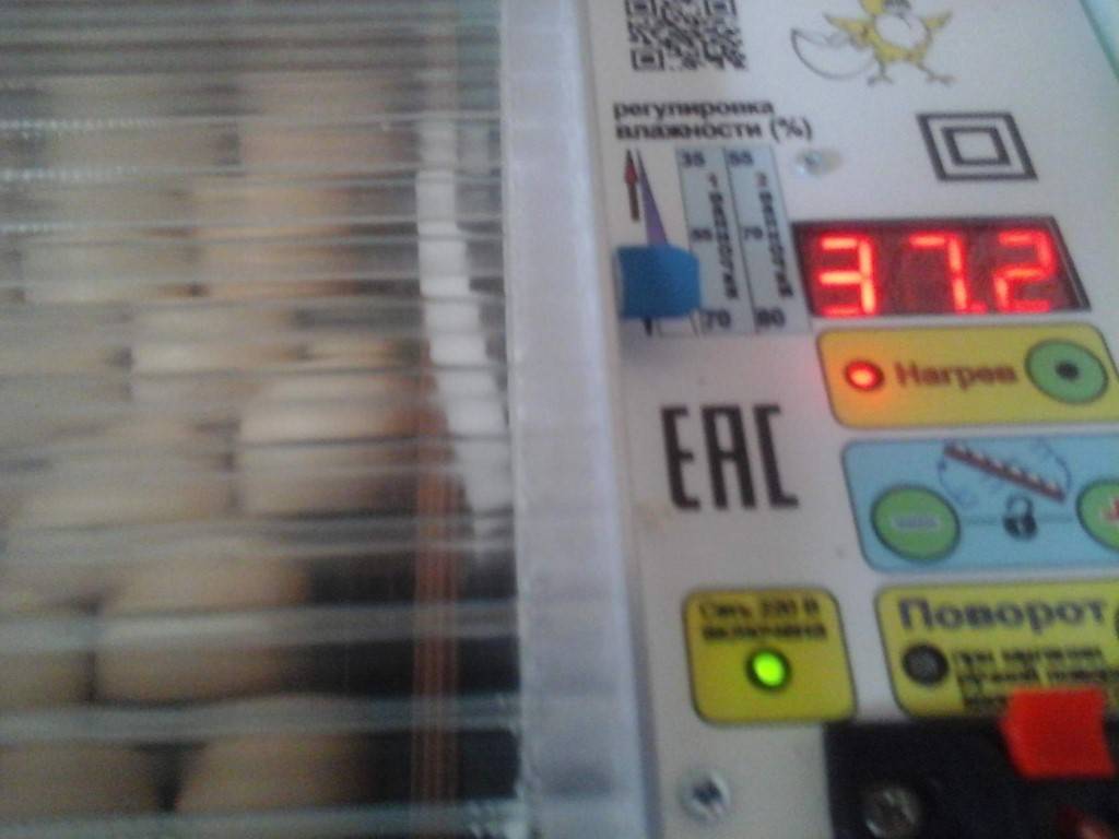Инкубатор блиц норма на 72 яйца: производитель, инструкция по применению