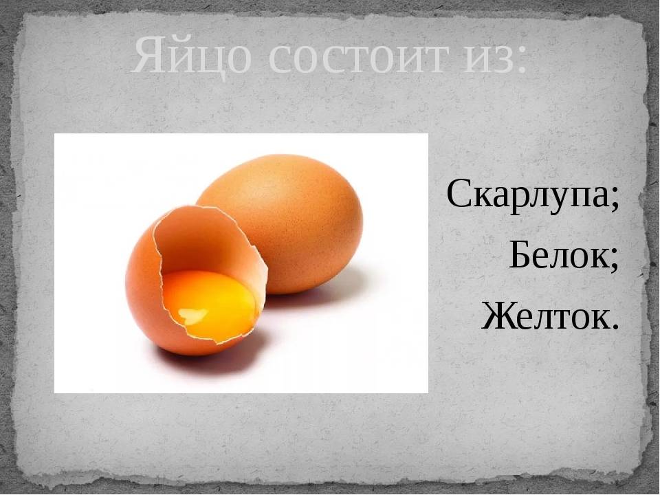Строение и химический состав куриного яйца