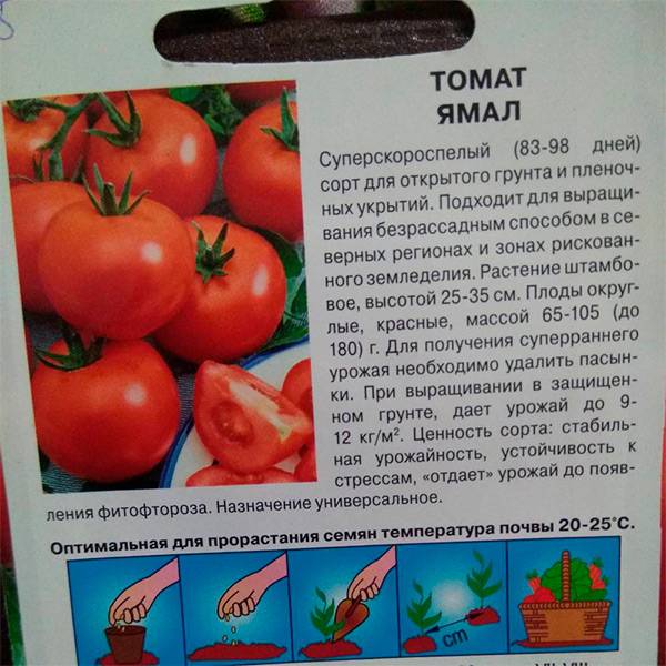 Томат ямал: описание сорта, характеристки, отзывы :: syl.ru